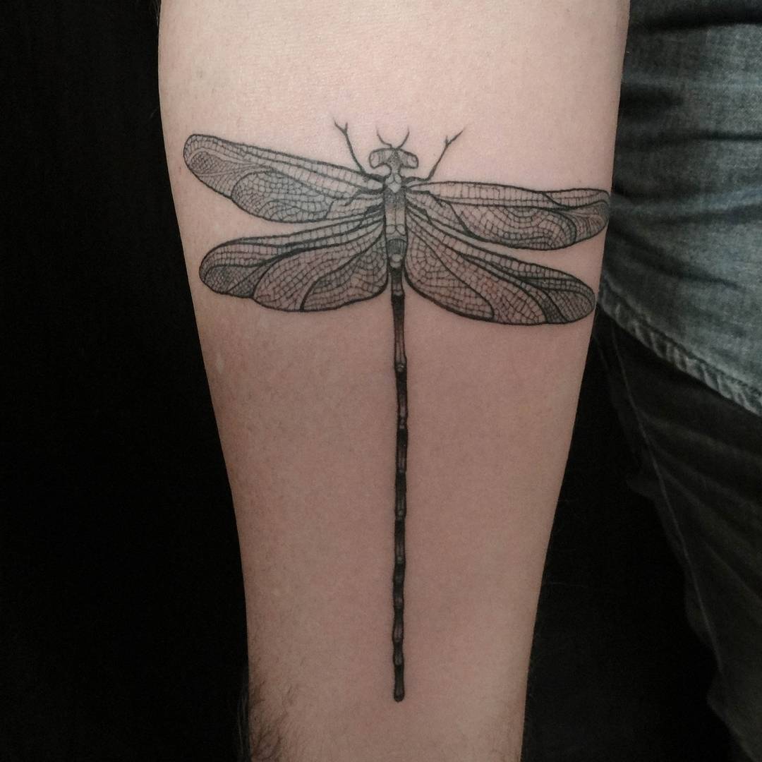 dragonfly tattoo.