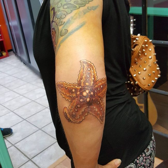 starfish tattoo10