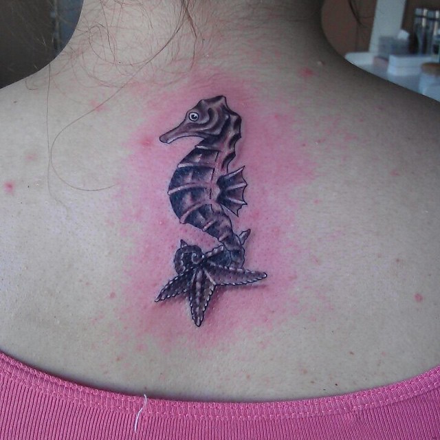 starfish tattoo26