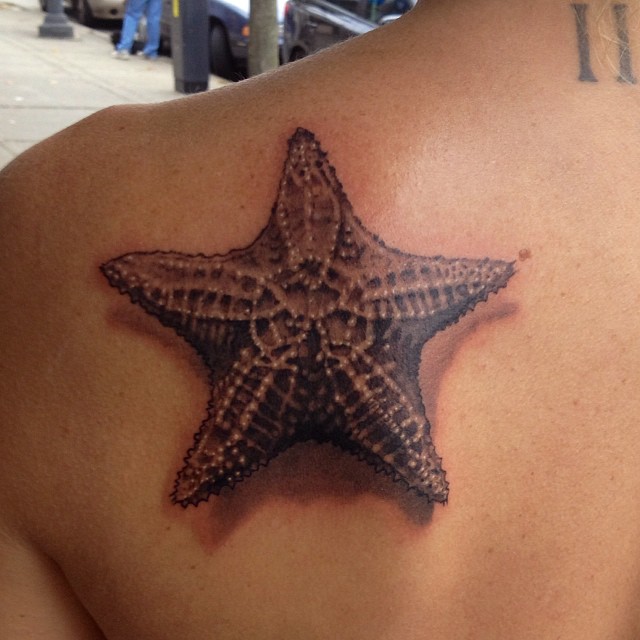 starfish tattoo33