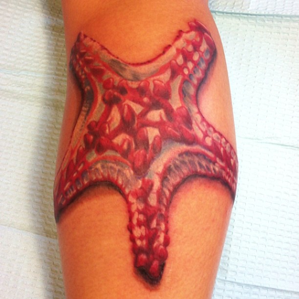 starfish tattoo34