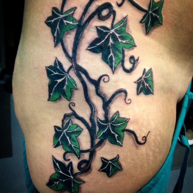 50 Amazing Vine Tattoo Ideas - Discover Their True Meaning