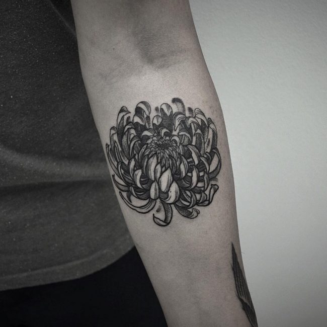 chrysanthemum tattoo8