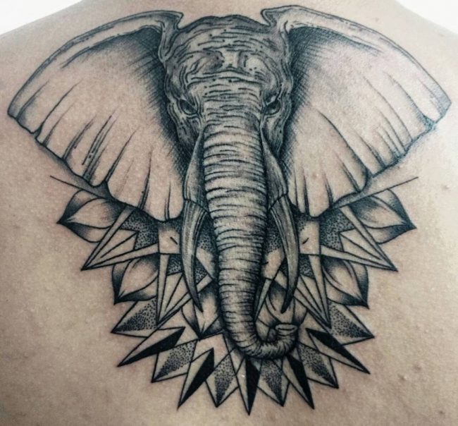 elephant tattoo11