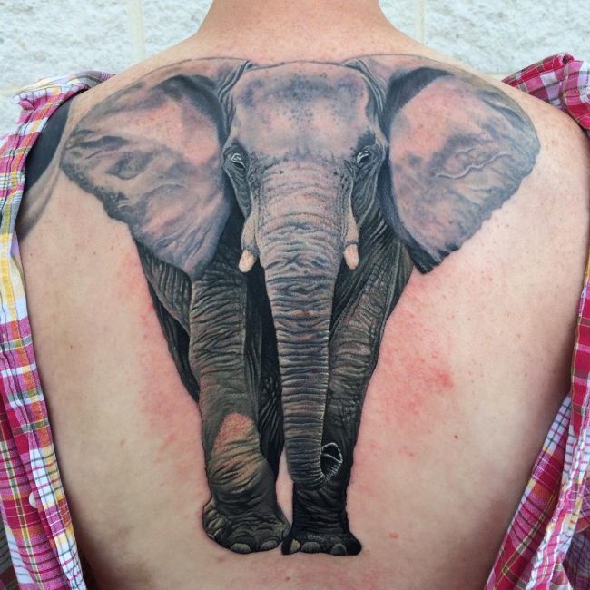 elephant tattoo16