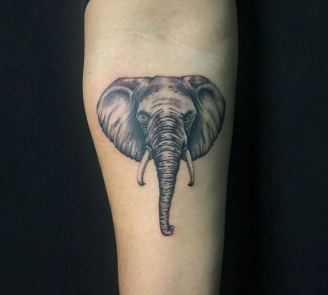 elephant tattoo84