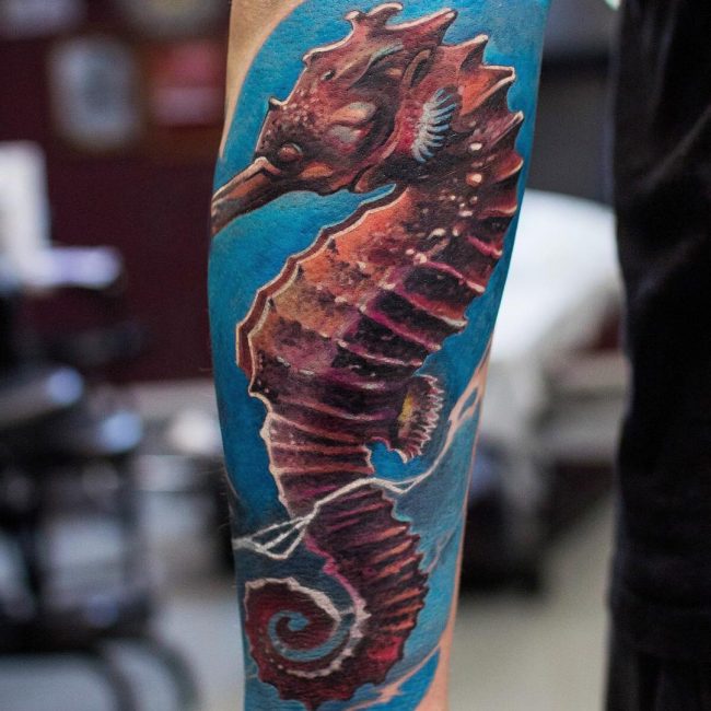 Seahorse Tattoo_