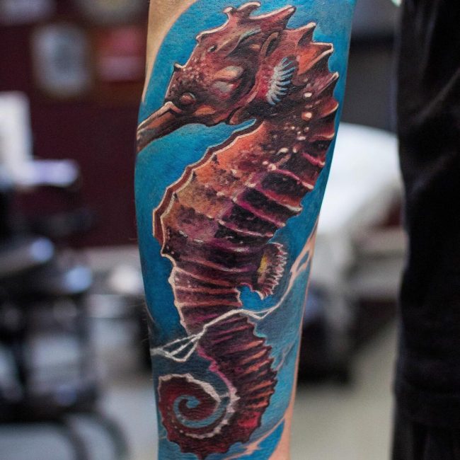 realistic seahorse tattoo