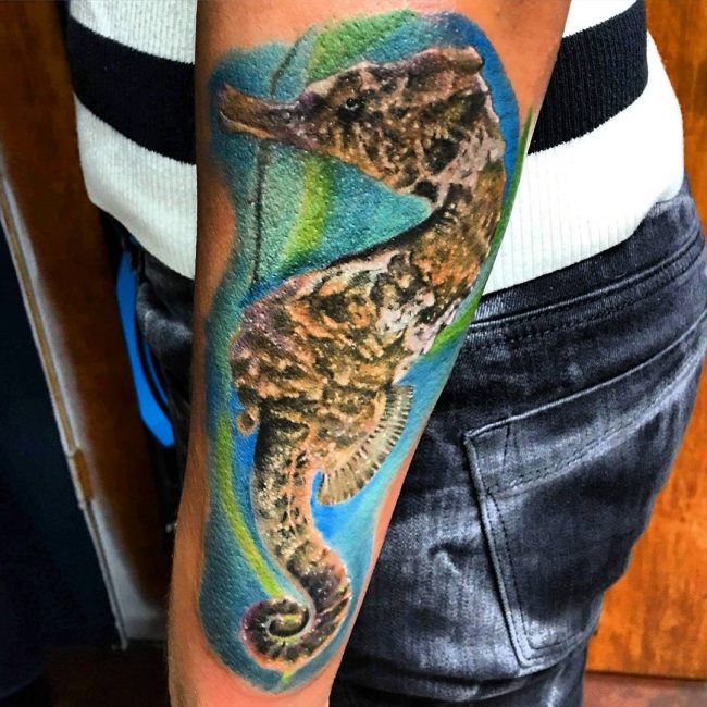 seahorse tattoo17