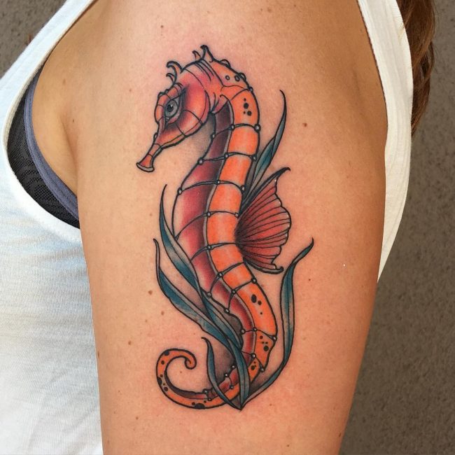 seahorse tattoo34