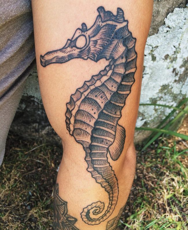 seahorse tattoo35