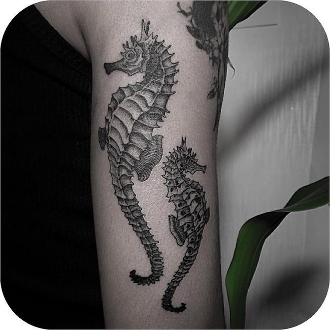 seahorse tattoo39
