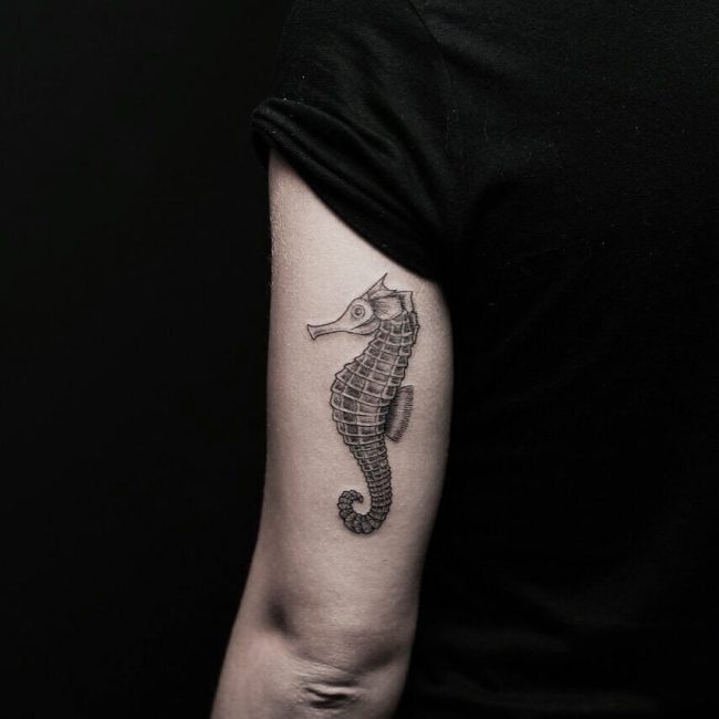 seahorse tattoo43