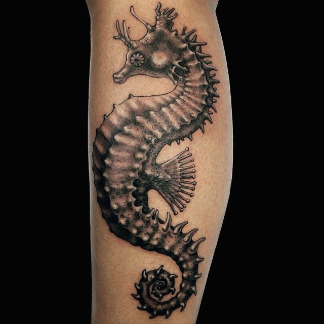 seahorse tattoo45