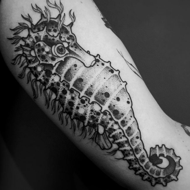 seahorse tattoo6