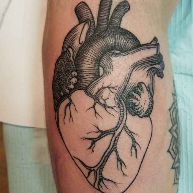 Anatomical Heart Tattoo