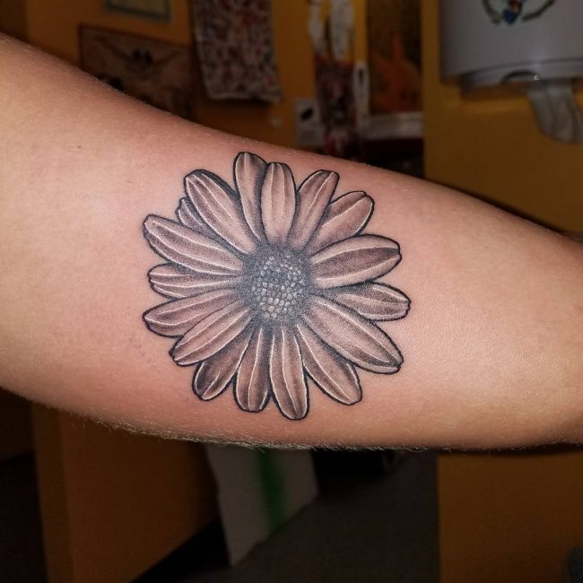 Daisy Flower Tattoo 72