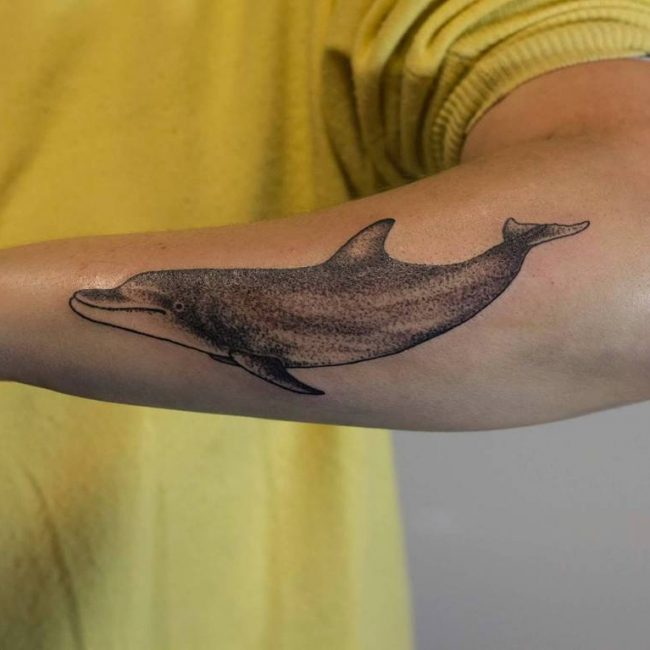 Dolphin Tattoo 55