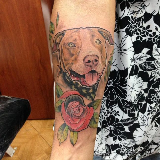 Pitbull Tattoo 54