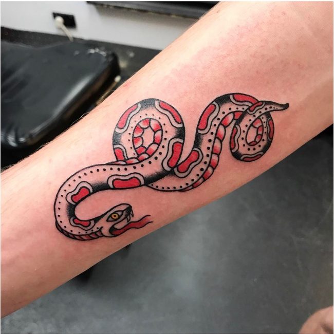 Snake Tattoo 56