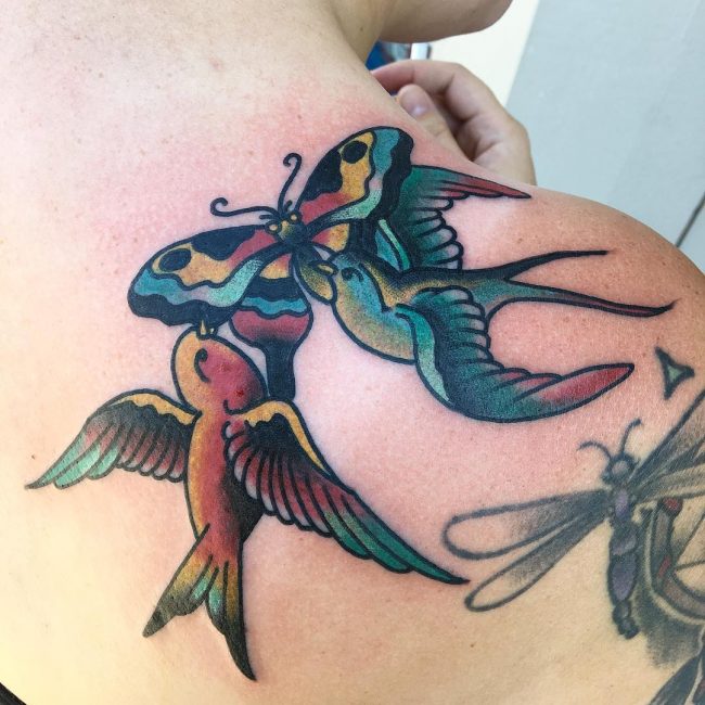 Swallow Bird Tattoo 69
