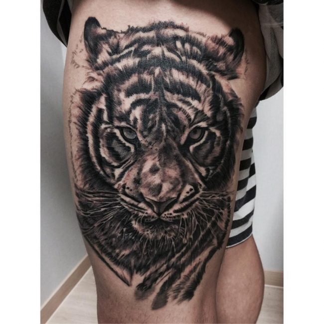 115+ Best Tiger Tattoo - Meanings & Design For Men and Women (2019)