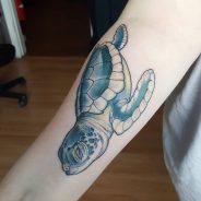 85+ Best Sea Turtle Tattoo Designs & Meanings - (2019)