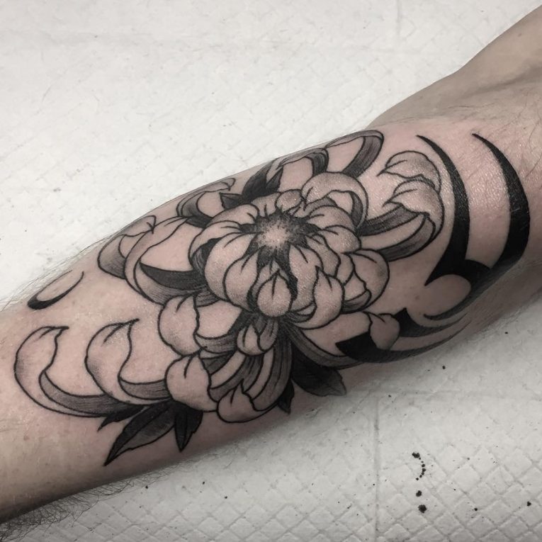 Chrysanthemum Tattoo 71