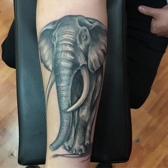 Elephant Tattoo 112