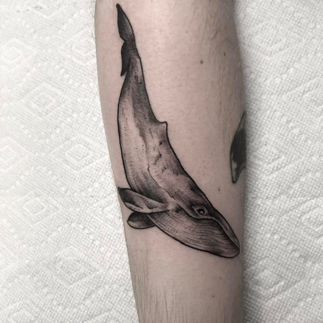 Ocean Tattoo 60