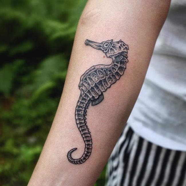 Seahorse Tattoo 76