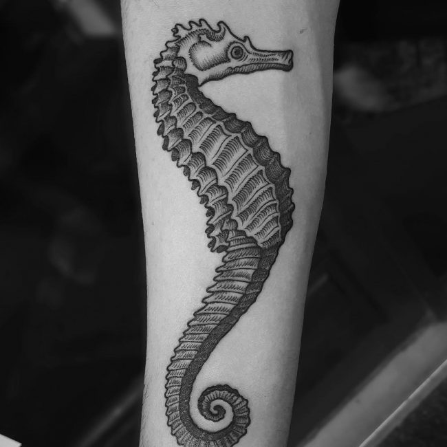 Seahorse Tattoo 80