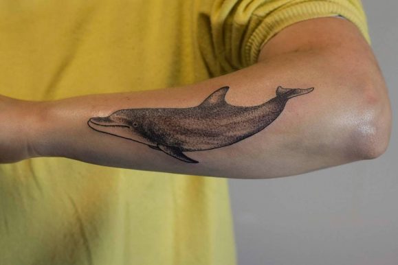 65+ Incredible Dolphin Tattoo Designs & Meaning – 2019 Ideas