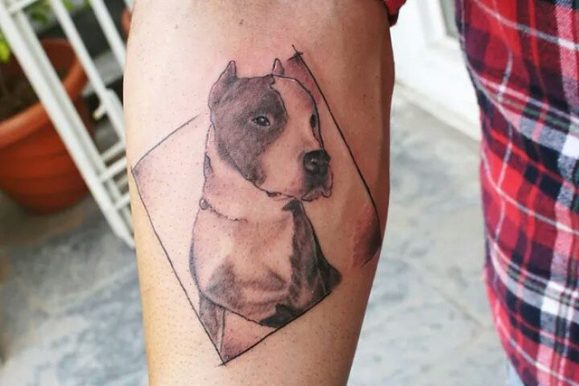 70+ Pitbull Tattoo Designs & Meanings – For the Dog Lovers (2019)