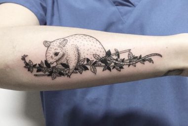 50 Amazing Vine Tattoo Ideas –  Discover Their True Meaning